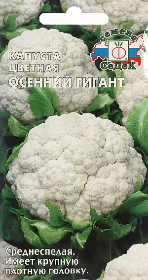 Семена Капуста цветная Осенний гигант Семена Капуста цветная Осенний гигант