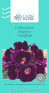 Глоксиния Аванти Голубая 10шт