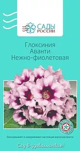 Глоксиния Аванти Нежно-фиолетовая 10шт