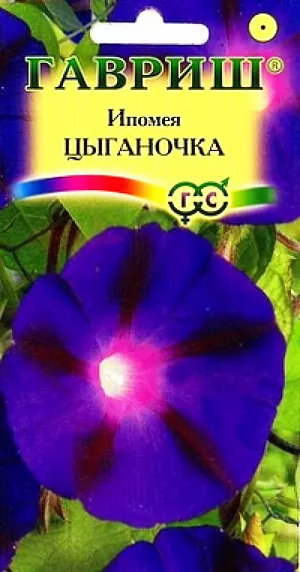 Семена Ипомея Цыганочка.
Вьющееся растение для вертикального озеленения из семейства Вьюнковые с побегами длиной до 2 м. 
Цветение обильное, с конца июня до заморозков. Цветки воронковидные, крупные, почти черные, до 10 см в диаметре.
Светолюбива и теплолюбива, заморозков не переносит. Высевают в открытый грунт во второй половине мая. 
Семена перед посевом желательно замачивать на сутки. Всходы появляются через 6-14 дней, расстояние между растениями должно составлять 25-35 см. 
Используется для озеленения балконов и ваз, как клумбовое растение.