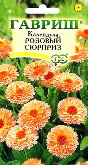 Семена Календула Розовый сюрприз махровая.
Очень популярный неприхотливый, холодостойкий однолетник семейства Сложноцветные. Светолюбивое и засухоустойчивое растение высотой 50-60 см, ветвистое, компактное. Соцветия крупные, 7-10 см диаметром, густомахровые, черепитчатые, перламутрово-розовой окраски. Сроки посева растянуты с апреля до октября. Для ускорения цветения сеют в апреле на рассаду, в мае - прямо в грунт гнездами на расстоянии 15-25 см; в течение лета - для более позднего цветения. Под зиму высевают для цветения в июне. Цветет через 45-50 дней после появления всходов. Легко размножается самосевом. Календулу широко используют в озеленении и на срез, в лекарственных и пищевых целях.