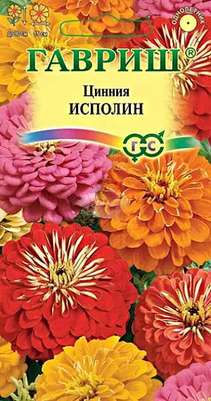 Семена Цинния Исполин.
Смесь высокорослых крупноцветковых цинний для элитного оформления сада. 
Серия «Исполин» отличается чрезвычайно обильным и продолжительным цветением, прочными ветвящимися цветоносами, чистыми и стойкими к выгоранию тонами соцветий. 
Формирует приподнятые, разветвленные кусты высотой до 90 см. Соцветия георгиновидные, крупные, различных тонов, 15 см в диаметре, с высокой устойчивостью к неблагоприятным погодным условиям. Цветет с июня до заморозков. Циннии светолюбивы, засухоустойчивы и теплолюбивы; отзывчивы на полив, без длительного полива снижается интенсивность цветения и уменьшается размер соцветий. Выращивают рассадным способом. 
Семена высевают в апреле. Всходы появляются через 4-6 дней. В начале июня растения высаживают на расстоянии 20 см.