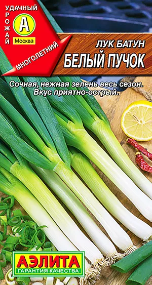 Семена Лук на зелень Белый пучок