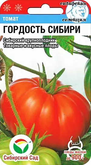 Семена Томат Гордость Сибири