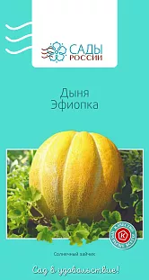 Дыня Эфиопка 6шт