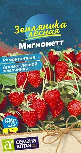 Семена Земляника (клубника) ремонтантная Мигнонетт
