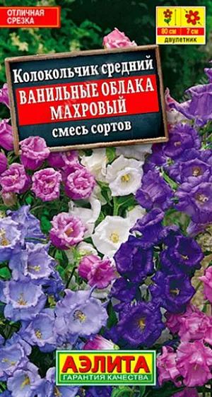 Семена Колокольчик Ванильные облака из каталога Колокольчик Семена Колокольчик Ванильные облака. Роскошная смесь двулетнего растения с крупными цветками диаметром 6-7 см. В первый год образуются розетки листьев, на второй – формируются цветоносные побеги высотой до 80 см. Они представляют собой густые пирамидальные кисти с множеством махровых цветков. Цветение продолжительное. Растения светолюбивые, холодостойкие. Используются для одиночных и групповых посадок в сборных цветниках. Отлично подходят для срезки.<br>
<br>
Семена сеют на отдельную разводочную грядку. Заделка должна быть самой минимальной. Необходимо не допускать пересушивания посевов. Подросшие розетки в августе пересаживают на постоянное место. На зиму слегка укрывают. На следующий год отрастающие побеги подвязывают к кольям.<br>