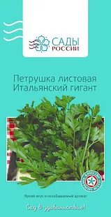 Петрушка листовая Итальянский гигант Петрушка листовая Итальянский гигант