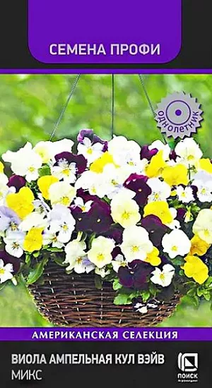 Семена Виола ампельная Кул Вэйв Микс из каталога Разные Семена Виола ампельная Кул Вэйв Микс. серия характеризуется ампельным габитусом и крупными цветками. Растения быстро заполняют посадочную емкость. На первых этапах рост вертикальный, затем побеги начинают ниспадать. Длина побегов – 30 см. Растение формирует множество цветков. Смесь состоит из разнообразных привлекательных окрасок. Великолепно подходит для подвесных корзин, вазонов и балконных ящиков.
<p>
Агротехника. Растения предпочитают солнечные места, рыхлые, плодородные почвы. Размножают посевом семян в январе-феврале. Семена слегка вдавливают в почву, слегка присыпают и увлажняют. Посадочную ёмкость накрывают стеклом. При температуре +18-20°C всходы появляются на 5-10 день. Сеянцы пикируют в фазе 1-ой пары настоящих листьев в отдельные контейнеры. Для получения привлекательного подвесного кашпо высаживают по 3 растения на кашпо диаметром 21 см.
</p>