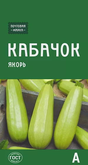 Семена Кабачок Якорь Семена Кабачок Якорь