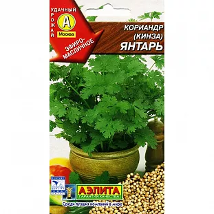 Семена Кориандр Янтарь