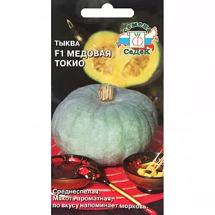 Семена Тыква Медовая Токио F1