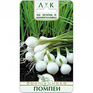 Семена Лук на зелень и мини головку Помпеи