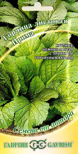 Горчица листовая Прима