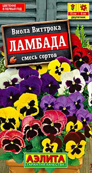 Семена Виола Ламбада смесь из каталога Виола Семена Виола Ламбада смесь. Нарядная, раннецветущая смесь крупноцветковой виолы. Кустики быстро растут и развиваются, компактные, высотой не более 15 см. Цветки эффектные, яркие, диаметром 5-6 см. Обильно покрывают пушистые кустики вплоть до заморозков. Растения влаголюбивые, холодостойкие, хорошо выдерживают пересадку в цветущем состоянии. Смесь будет великолепно смотреться в составе клумб и миксбордеров. Украсит садовые и балконные контейнеры.<br>
<br>
Посадки располагают на солнечных или слегка затененных участках с плодородными, рыхлыми, влажными почвами. Виолы легко переносят пересадку в цветущем состоянии. Для цветения в год посева выращивают рассаду. При посеве в открытый грунт в июне–июле растения цветут на следующий год. Зимостойкость хорошая.<br>
<br>
<br>
<br>
<br>