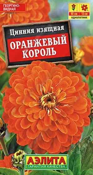 Семена Цинния Оранжевый король. Превосходная смесь помпонной циннии с большой палитрой расцветок. Яркие оттенки не выгорают на солнце. Густомахровые корзинки диаметром 6-8 см. имеют плотное черепитчатое строение. Кусты высотой 45-50 см. и шириной до 30 см, хорошо ветвятся от основания. Продолжительное, обильное и красочное цветение привлекает массу бабочек и мелких птичек. Использование универсальное – оформление цветников, срезка в букеты. Помпонные циннии отлично смотрятся группами на клумбах, лентами в бордюрах, большими массивами<br>
 <br>
 Циннии – растения теплолюбивые, быстрорастущие, относительно засухоустойчивые. Предпочитают солнечные участки с дренированными почвами среднего плодородия, нейтральной кислотности. В южных регионах возможен безрассадный способ выращивания.<br>