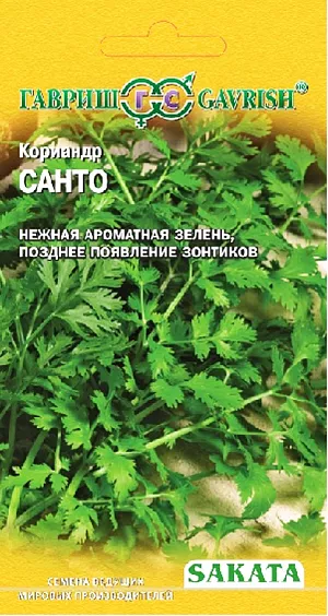 Семена Кориандр Санто