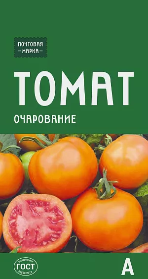 Семена Томат Очарование Семена Томат Очарование