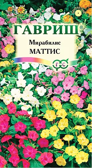 Семена Мирабилис Матис.
Травянистое растение. Кустики удлиненно-округлые, 30-80 см высотой, с клубневидными, вздутыми корнями.
Стебли прямостоячие, густоветвистые, красноватые, одревесневающие в нижней части. 
Цветки воронковидные, до 2,5 см в диаметре, белые, желтые, оранжевые, малиновые, пурпуровые, ярко-красные или двухцветные, по 3-5 в чашевидной обертке, собраны в щитковидные соцветия на концах побегов, душистые. Открываются с 16 часов и открыты до следующего утра. Свето- и теплолюбивое, засухоустойчивое растение. При длительной засухе приостанавливает развитие и цветение. Растение легко размножается семенами, которые высевают в парник в марте-апреле. 
Рассаду высаживают в открытый грунт после того, как минует угроза заморозков.