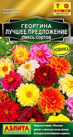 Семена Георгина Лучшее предложение, смесь сортов. Низкорослые георгины всегда пользовались популярностью у садоводов. Яркие махровые и полумахровые цветки диаметром 6-9 см. появляются уже через 3 месяца после всходов, и радуют своим пышным цветением до первых заморозков. Кустики высотой около 30 см, с большим количеством цветоносов. Растения достаточно неприхотливые, требуют минимального ухода. Прекрасно смотрятся на переднем плане цветников, в низких бордюрах и рабатках. Отлично растут в садовых контейнерах и балконных ящиках.<br>
 <br>
 Георгина – растение тепло- и светолюбивое. Предпочитает хорошо дренированные, плодородные почвы нейтральной кислотности. К концу вегетации образует корнеклубни, которые можно заложить на хранение и использовать для посадки в следующем сезоне.<br>