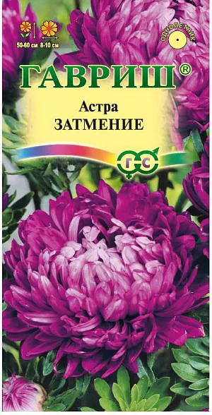 Семена Астра Затмение<br>
 <br>
 Растение высотой 50-60 см, диаметр куста 23 см. Соцветия пионовидные, диаметром 8-10 см, темно-фиолетовые с блеском. Одновременно цветут 5-6 соцветий. Для выращивания подходят хорошо освещенные участки с плодородной суглинистой или супесчаной почвой. Астры обладают высокой холодостойкостью – хорошо переносят заморозки до -3-4°C. Выращивают, чаще всего, рассадным способом. Используются для получения срезки и оформления участка.<br>
