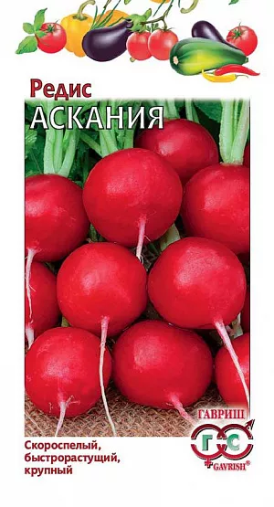 Семена Редис Аскания