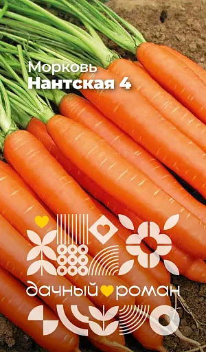 Семена Морковь Нантская 4 Семена Морковь Нантская 4