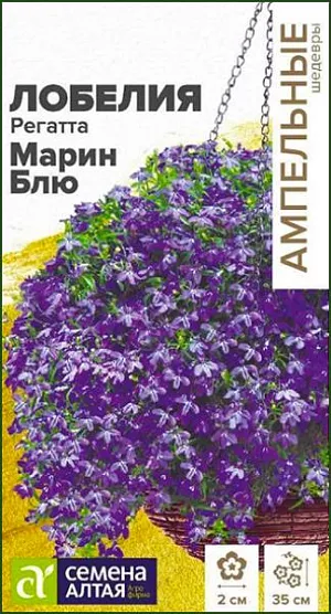 Семена Лобелия ампельная "Регатта Марин Блю".<br>
 <br>
 <br>
 Однолетние лобелии серии Regatta являются эталоном среди ампельных лобелий. Они сочетают в себе экстра раннее обильное и продолжительное цветение и широкий спектр окрасок. Растение сначала формирует сильноветвистый кустик высотой 15-20 см. и шириной до 30 см., и затем, продолжающие свой рост побеги, начинают ниспадать каскадами ярких цветов, достигая длины до 35 см. В период цветения все растение покрыто одиночными, до 2 см. в диаметре, темно-фиолетовыми цветками. Отлично подойдет для выращивания в подвесных кашпо и балконных ящиках, вазонах и больших контейнерах.<br>
 <br>
  Светолюбивое растение, которое довольно хорошо переносит затенение, достаточно холодостойкое. Предпочитает легкие нейтральные или слабокислые почвы. Посев на рассаду проводится в конце февраля – начале марта. Семена заключены в мультидраже, их равномерно распределяют по поверхности влажного субстрата, слегка вдавливая в него. Не заглубляйте семена!<br>
 <br>
  Для получения наилучшего результата посев рекомендуем проводить в торфяные таблетки (одно драже в таблетку). Посевы увлажняют, накрывают пленкой до появления первых всходов и помещают в светлое теплое (+20-25оС) место, ежедневно их следует проветривать. Всходы появляются через 5-8 дней. Рассаду перемещают в прохладное (+15-17оС) светлое место с рассеянным светом. В условиях короткого светового дня всходам требуется досвечивание. С появлением 1-2-х настоящих листочков сеянцы пикируют в рассадные емкости. В открытый грунт на постоянное место высаживают когда минует угроза заморозков. Посадочный интервал 25-35 см. Цветение начинается через 70-80 дней от посева, с июня по сентябрь. Обрезка растений после основного цветения стимулирует рост новых побегов и повторное цветение до глубокой осени. В этот период рекомендуется произвести подкормку комплексным минеральным удобрением.<br>
 <br>
  Внимание! Семена дражированные - оболочку драже не разрушать!<br>
 Одно мультидраже содержит 3-5 семян. Благодаря этому при пикировке растение высаживается плотными пучками.<br>
 <br>
 <br>