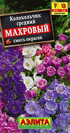 Семена Колокольчик Махровый смесь окрасок.
Эффектное двулетнее растение с крупными (ø 6-8 см) махровыми бокальчато-колокольчатыми цветками. Стебли прямостоячие, мощные, высотой до 80 см. Цветки собраны в большие пирамидальные соцветия 60-70 см длиной. Колокольчики светолюбивые, холодостойкие, влаголюбивые, но не переносят застоя воды в почве. Используются для одиночных и групповых посадок в сборных цветниках или рабатках. Отлично подходят для букетов, срезанные цветы сохраняются в воде до двух недель. Хороший медонос. 
Агротехника. Посев семян на рассаду. Всходы появляются через 8-14 дней при температуре 15°С. Через 2-3 недели сеянцы пикируют в отдельные горшочки. В открытый грунт рассаду высаживают в начале июня.