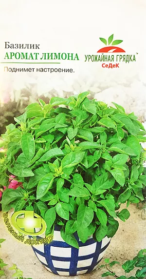Семена Базилик овощной Аромат лимона