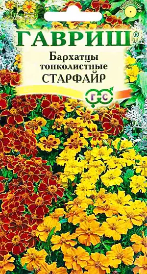 Семена Бархатцы тонколистные Старфайр.
Травянистое растение семейства Сложноцветные. Образует компактный густоветвящийся куст высотой 25-30 см. 
Соцветия-корзинки, диаметром до 3 см. Цветет с июня до заморозков. Светолюбивы и теплолюбивы, заморозков не переносят.
Предпочитают плодородные легкие почвы. Выращивают, как правило, рассадным способом. 
Посев проводят во второй половине марта – начале апреля. 
Всходы появляются через 4-8 дней после посева, сеянцы пикируют в фазе 2-го настоящего листа. 
Рассаду высаживают в начале июня, расстояние между растениями 20 см.
 Используют для посадки на клумбах, рабатках, бордюрах, в балконные ящики, можно использовать как горшечную культуру.
