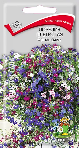 Семена Лобелия плетистая Фонтан смесь.
Идеальная смесь для подвесных корзин и контейнеров. Многолетнее растение, используемое как однолетнее. Красивое травянистое растение со свисающими побегами (длиной до 30 см), усыпано цветками разнообразной окраски. Листья зелёные. Цветет с июня по сентябрь.
Агротехника. Растение неприхотливое, наибольшей декоративности достигает на открытых солнечных местах. Предпочитает суглинистые или супесчаные почвогрунты.
При выращивании рассады посевы проводят в феврале. Семена слегка вдавливают в почву, землей не присыпают. Посадочную емкость накрывают стеклом и ставят в освещенное теплое место. При температуре почвы +18°С всходы появляются на 7-14 день. Сеянцы пикируют в легкую землю. Рассаду высаживают после окончания весенних заморозков. Для лучшего кущения верхушки молодых растений прищипывают. Семена соответствуют требованиям международных стандартов и ГОСТу РФ 12260-81