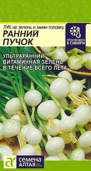 Семена Лук на зелень и мини головку Ранний пучок