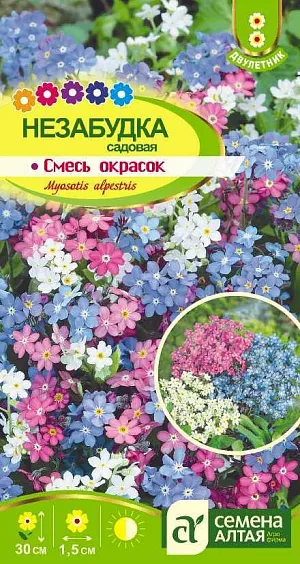 Семена Незабудка Смесь Окрасок альпийская<br>
 <br>
 Двулетнее красивоцветущее почвопокровное растение с ветвистым стеблем высотой 25-30 см. Листья сидячие заостренной ланцетной формы. Мелкие цветки, диаметром 1,0-1,5 см, различных окрасок: голубой, розовой, белой собраны в рыхлые кистевидные соцветия. Великолепно смотрится не только на клумбе, но и в горшке или балконном ящике. На балконе или террасе незабудки хороши в комбинации с другими двулетними растениями. Зимостойкое влаголюбивое растение. Предпочитает полутенистые участки с богатыми питательными веществами почвами.<br>