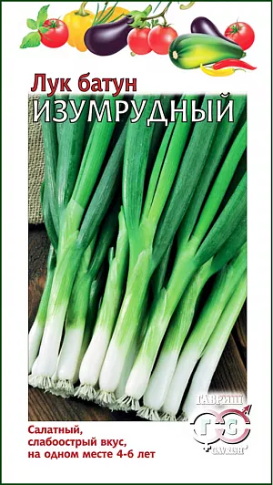 Семена Лук батун Изумрудный