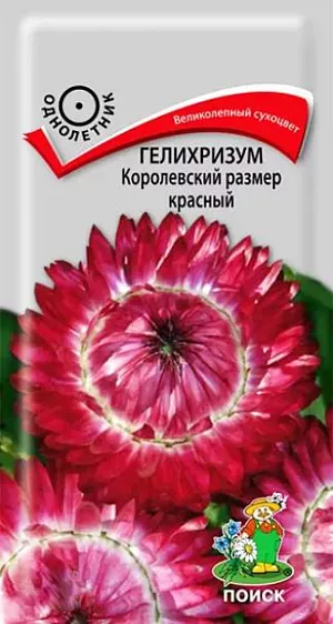 Семена Гелихризум Королевский размер красный. Слегка раскидистый куст достигает высоты 100 см. На каждом растении около 25 красных соцветий диаметром 5-6 см. По краю соцветия располагаются суховатые прицветники, создающие впечатление «махровости». Цветет с августа по сентябрь.<br>
 <br>
 Агротехника. Растение предпочитает открытые солнечные места и легкие питательные почвы. Используют для клумб, рабаток. Великолепный сухоцвет, незаменим для зимних букетов. Размножают посевом семян в конце марта – начале апреле. Глубина заделки семян 0,5-1 см. При температуре почвы +18°C всходы появляются через 10-15 дней. Сеянцы содержат при умеренной температуре. Высаживают в открытый грунт в конце мая-начале июня (когда минует угроза поздневесенних заморозков). Расстояние при посадке 25-30 см.