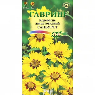 Кореопсис Санбурст, ланцетовидный Кореопсис Санбурст, ланцетовидный