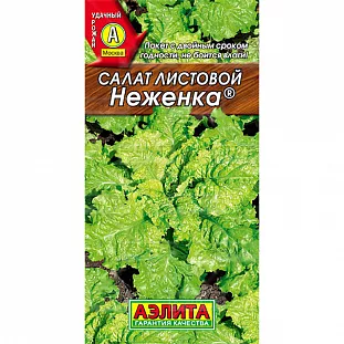 Салат Неженка листовой