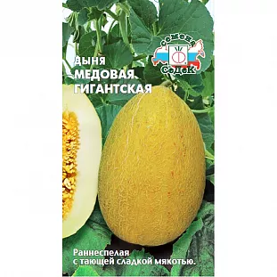Семена Дыня Медовая гигантская