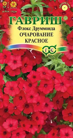 Семена Флокс Друммонда Очарование красное.
Эффектная крупноцветковая серия однолетних низкорослых сортов флокса с обильным цветением и ошеломляюще красивой окраской. Растения компактные, высотой до 25 см. Цветки до 1,5-2 см в диаметре, красные, собраны в щитковидные соцветия. Предпочитает солнечные места и легкие дренированные плодородные почвы с большим количеством органики. 
Посев на рассаду — в марте-апреле, высадка в грунт — в мае, через 15 см. Цветет с июня до заморозков. Используют в качестве клумбового и бордюрного растения, выращивают в контейнерах и горшках, на каменистых горках. Подходит для ярких мини-букетов.