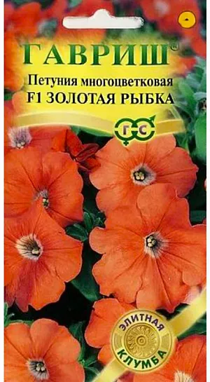 Семена Петуния Золотая Рыбка многоцветковая F1.<br>
 Роскошное однолетнее растение с высокой устойчивостью к стресс- факторам. Эта гибридная форма петунии имеет компактный кустик до 30-35 см. Цветки широковорончатые, золотисто-лососевые, до 5,5-6,5 см в диаметре, с прочной фактурой, не страдают во время дождей. <br>
Посев проводят в марте. Всходы появляются через 7-12 дней. На постоянное место высаживают, когда минует опасность заморозков. Светолюбива и достаточно засухоустойчива. Предпочитает легкие, плодородные, хорошо дренированные почвы. Украсит контейнеры, вазы, подоконники, рабатки, бордюры. Используется как фоновая и балконная культура.