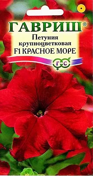 Семена Петуния Красное Море крупноцветковая F1.<br>
 Образует компактный куст высотой 25-30 см. Выращивают рассадным способом. Посев проводят с января по апрель, поверхностно, под стекло (после появления всходов стекло убирают). <br>
В зимние месяцы январь-февраль досветка обязательна. При ранних сроках посева цветение начинается в мае, что очень удобно для выращивания растений на балконе, закрытых террасах, патио. Без дополнительного освещения петунию высевают не раньше марта. Всходы появляются через 7-12 дней. На постоянное место высаживают, когда минует опасность заморозков. Цветет с июня по сентябрь. Цветки пурпурно-красные 7-10 см в диаметре. Светолюбива и достаточно засухоустойчива. Предпочитает легкие, плодородные, хорошо дренированные почвы. Петунии можно выращивать в течение нескольких лет, сохраняя зимой в освещенном помещении (растение сильно обрезают, t не более 12°C, умеренный полив). Петуния используется как фоновое и балконное растение, в контейнерах, вазах, для украшения подоконников, для посадки в рабатки, бордюры. Цветет обильно с начала мая до заморозков. Устойчива к неблагоприятным условиям.