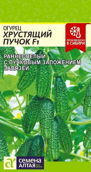Семена Огурец Хрустящий Пучок F1