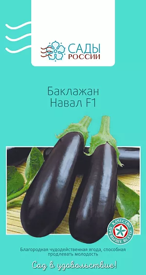Семена Баклажан Навал F1