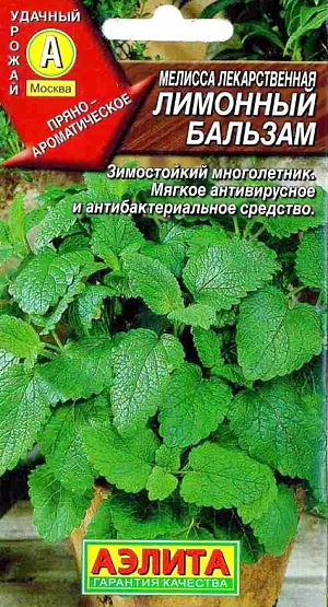 Семена Мелисса лекарственная Лимонный бальзам