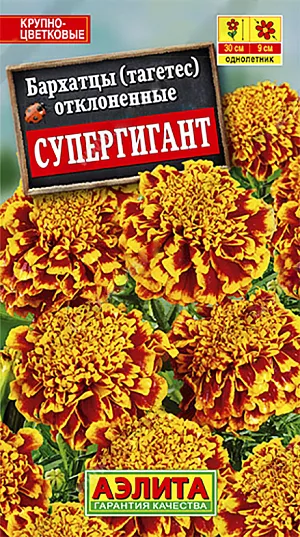 <div>
 Семена Бархатцы Супергигант отклоненные.
</div>
<p>
 Однолетник. Высота 30 см. Диаметр 9 см.
</p>
<p>
 Один из лучших крупноцветковых сортов из группы французских (отклоненных) бархатцев. Соцветия густомахровые, Ø8-10 см, эффектной двухцветной окраски. Кустики компактные, высотой 25-30 см, сильноветвистые, с большим количеством цветоносов. Цветение раннее и продолжительное. Растения неприхотливые, тепло- и светолюбивые, не требовательные к влаге. Имеют компактную корневую систему и способны хорошо расти в ограниченном объеме грунта. Отлично подходят для выращивания в горшках и балконных ящиках, хорошо смотрятся на клумбах, в бордюрах вдоль дорожек.<br>
</p>
<p>
 Посев. Выращивают рассадным способом. В фазе одного-двух настоящих листьев сеянцы пикируют. Рассаду высаживают в открытый грунт, когда минует опасность заморозков. Растениям необходимы регулярные поливы, прополки, рыхления и подкормки. Возможен посев семян в открытый грунт на глубину 1 см. 
</p>