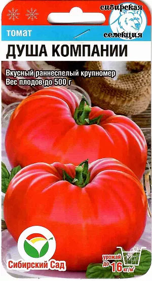 Семена Томат Душа компании