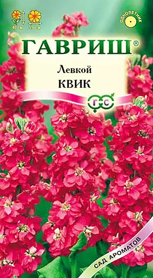 Семена Левкой Квик.
Однолетнее растение из семейства Капустные с травянистыми или почти одревесневшими стеблями высотой 40 см. Цветет в июне-августе. Цветки диаметром 5-6 см, ароматные, собраны в кистевидные соцветия. Окраска цветков красная. Предпочитает хорошо освещенные участки с рыхлой, дренированной, удобренной почвой. выращивают рассадным способом и прямым посевом в открытый грунт. Посев семян на рассаду проводят в марте. Рассаду высаживают во второй декаде мая на расстоянии 20-30 см. В открытый грунт семена высевают в конце апреля- начале мая с последующим прореживанием. Высаживают в цветники, рабатки, контейнеры, уличные вазы и балконные ящики. Левкой хорош для создания букетов, в срезанном виде стоит в воде до 10 дней, наполняя помещение ароматом.