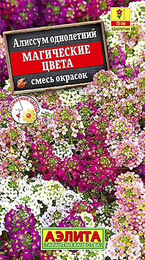 Алиссум Магические цвета смесь окрасок из каталога Алиссум Семена Алиссум Магические цвета смесь окрасок.
Неприхотливый ковровый летник с великолепным медовым ароматом. Холодостойкий. Формирует сильно разветвленные кустики 15 см высотой. Мелкие цветочки разнообразной окраски собраны в многочисленные кисти. Прекрасный медонос, привлекающий в сад много пчел. Отличное клумбовое и бордюрное растение для окаймления садовых дорожек и цветников. Пригоден для контейнерного выращивания.
Агротехника. Посев семян в открытый грунт весной, как только позволит почва. Для продления
сезона декоративности отцветшие побеги обрезают или проводят повторные посевы 2-3 раза за сезон. Для раннего цветения посев на рассаду в марте, высадка рассады
в конце апреля-начале мая. Растениям необходимы регулярные поливы, прополки, рыхления и подкормки.