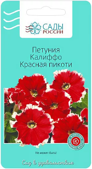 Семена Петуния Калиффо Красная пикоти.
Великолепные яркие, притягивающие взгляд красные цветы со слегка гофрированными белыми краями лепестков. Сорт имеет массу достоинств: крупные цветы 8-9 см, обильное и очень продолжительное цветение, хорошее ветвление.